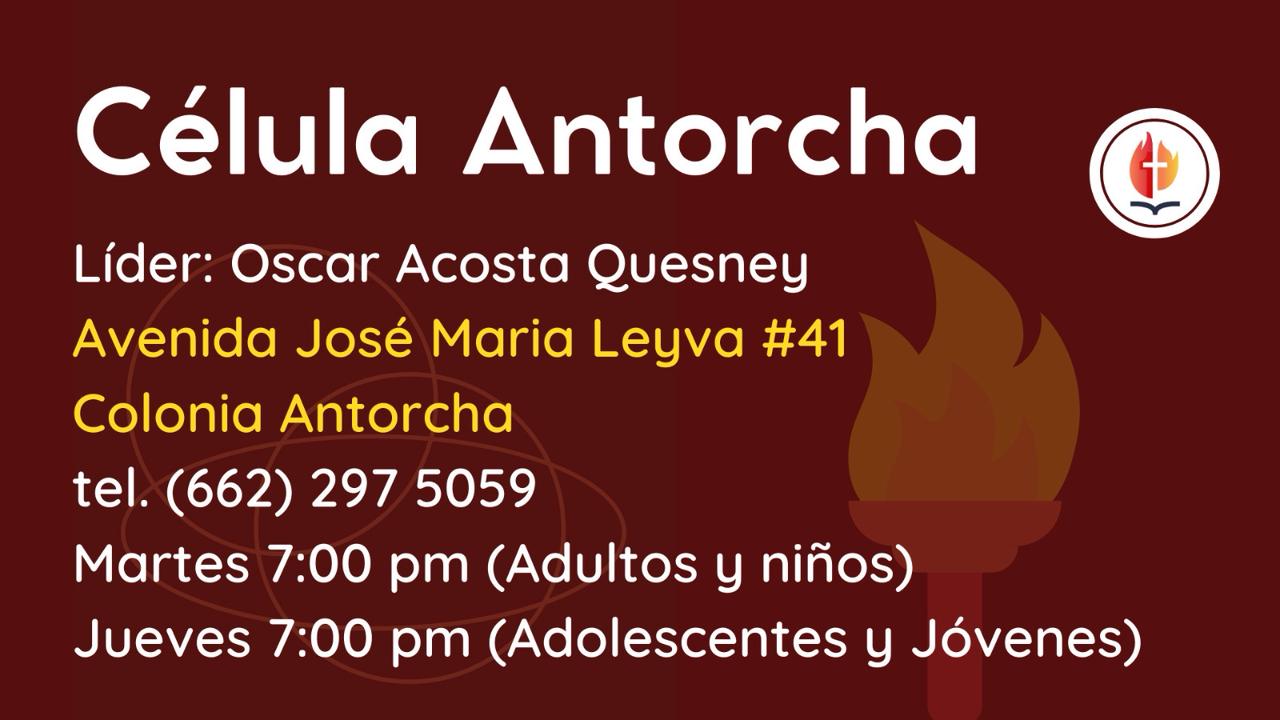 Célula Antorcha (Adultos y niños)